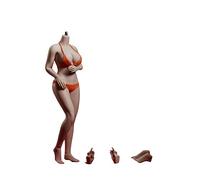 AMITD TBLeague PLLB2020-S39A 1/6 Escala Phicen - Cuerpo sin costuras para mujer de 30,5 cm, figura de acción Suntan sin esculpir la cabeza