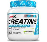 AMIX - Creatina Monohidratada Creapure en Bote de 300 g - Ayuda al Aumento del Rendimiento y la Fuerza - 100% Creapure - Suplemento para Ganar Masa Muscular