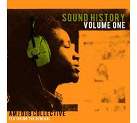 Amj Dub Collective - Vol.1-Sound History [Vinilo]