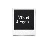 Amoladora angular neumática - Rodcraft - RC 5625 - 3000 min-¹ - Agujas incluidas