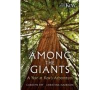 Among The Giants