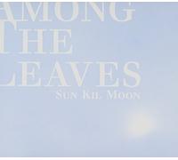 Among The Leaves by Sun Kil Moon (2012-05-29)