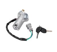 AMONIDA Conjunto de Cilindro de Cerradura de Encendido, Repuesto Completo con 2 Llaves Aptas para Daily 1999-2006