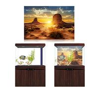AMONIDA Póster de Pecera Estilo Sol y Desierto, Papel de Fondo de Acuario Autoadhesivo Impermeable para Decoración de Peceras, 24 "x 48" (76 * 46cm)