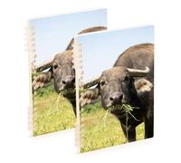 Amooorous Cuadernos en espiral de tamaño A5 de 21 x 14,5 cm, cuaderno de espiral resistente de un solo asunto, 60 hojas para diario y lista de tareas, paquete de 2