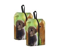 Amor de Conejo Impreso， Bolsas de Viaje para Zapatos (Paquete de 2), Bolsas Impermeables para Guardar Zapatos, Organizador de Zapatos para Viajes y hogar.