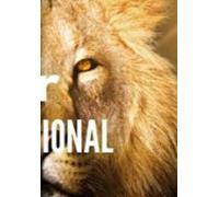 Amor Incondicional (ebook)