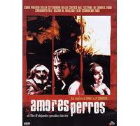 Amores Perros (DVD) [Italia]