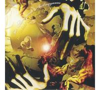 Amorphous Androgynous,the - The World Is Full of Plankton (Numbered 10") [Vinilo]