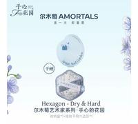 AMORTALS - Artist's Garden Series Foundation Powder - 5 Types Hexagon - Dry & Hard