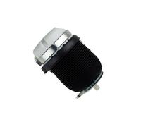 Amortiguación Neumática BILSTEIN Para Eje Trasero Luftfeder Para AUDI A6