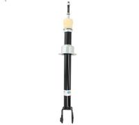 Amortiguado BILSTEIN 24-065955 para JAGUAR S-TYPE II (X200) 3 1999-2007