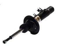 Amortiguado MAGNUM TECHNOLOGY AGC032MT para CITROEN C2 (JM_) 1.1 2003-2012