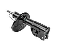 Amortiguador Alerón delantero 812 546 HART
