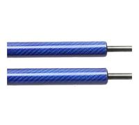 Amortiguador Amortiguador De Portón Trasero De 2 Piezas Para Civic Mk6 EJ EK Hatchback 1996-2000 Con Resortes De Gas. maletero gas(Blue Carbon Fiber)