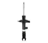 Amortiguador BILSTEIN - B4 Gas BILSTEIN 22-243133 izquierda