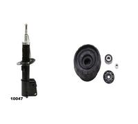 Amortiguador + Buje de cilindro del kit ASHIKA para FIAT, NISSAN, OPEL, RENAULT