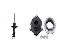 Amortiguador + Buje de cilindro del kit ASHIKA para HONDA CIVIC VIII