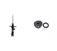 Amortiguador + Buje de cilindro del kit ASHIKA para HYUNDAI SANTA FÉ II