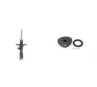 Amortiguador + Buje de cilindro del kit ASHIKA para HYUNDAI SANTA FÉ II