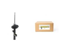 Amortiguador + Buje de cilindro del kit JAPANPARTS para LEXUS RX II