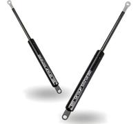 Amortiguador Canapé Abatible- Pistón Hidráulico para Cama Arcón - Resorte de Gas Universal - Elevación Suave y Segura - Recambio Fácil Instalación - Alta Resistencia (1250N)