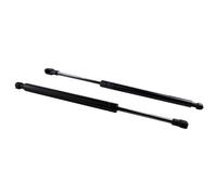 Amortiguador capó lantero 2x Elevador Resortes Gas Para Maletero Portón Trasero para Serie 3 para E46 para Coupe 1998-2005