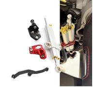 Amortiguador de dirección Kit De Montaje del Soporte para Amortiguador Dirección para Ducati Multistrada MTS 950, 1200, 1260 Y V2 Repuesto para Motocicleta(Silver)