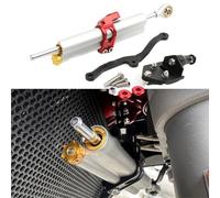 Amortiguador de dirección Pieza De Amortiguador Dirección para Motocicleta, Kit Soporte para Ducati Multistrada MTS 950/1200/1260 /V2(Silver)