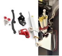 Amortiguador de dirección Repuesto para Motocicleta para Ducati Multistrada MTS 950, 1200, 1260 Y V2 Kit De Montaje para Soporte Amortiguador Dirección(Silver)