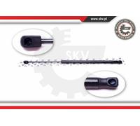 Amortiguador De Gas Para Maletero Trasero A Ambos Lados Para BMW 3er Compacto
