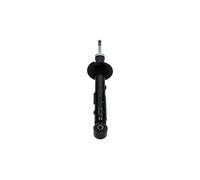 Amortiguador Eje delantero, derecha Anillo inferior SSA-11262 KAVO PARTS