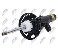 Amortiguador Eje delantero, derecha Espiga arriba A-BM-082 NTY