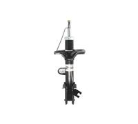 Amortiguador MAGNUM TECHNOLOGY AG0316MT derecha