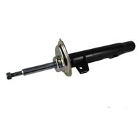 Amortiguador Eje delantero, derecha Espiga arriba AGB036MT Magnum Technology