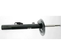 Amortiguador MAGNUM TECHNOLOGY AGB065MT derecha