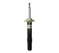 Amortiguador MAGNUM TECHNOLOGY AGB082MT derecha