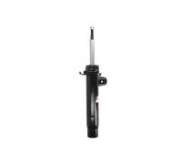 Amortiguador Eje delantero, derecha Espiga arriba AGB102 Magnum Technology
