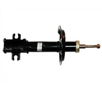 Amortiguador Eje delantero, derecha Espiga arriba FT11012 FAST para FIAT