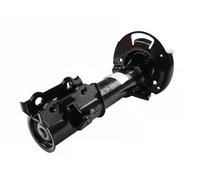 Amortiguador Eje delantero, derecha Espiga arriba FT11176 FAST para FORD B-MAX