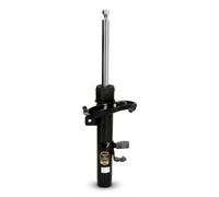 Amortiguador Eje delantero, derecha Espiga arriba MM-00924 JAPANPARTS para FORD
