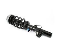 Amortiguador Eje delantero, derecha Espiga arriba SK-3604 Arnott para BMW X5 X6