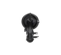 Amortiguador Eje delantero, derecha Espiga arriba SSA-10394 KAVO PARTS para FIAT