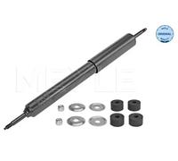 Amortiguador Eje delantero Espiga arriba 36-26 625 0001 MEYLE para NISSAN