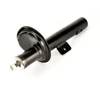 Amortiguador Eje delantero Espiga arriba AHR041MT Magnum Technology para RENAULT