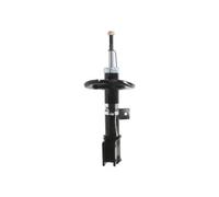 Amortiguador Eje delantero, izquierda Espiga arriba AGP124MT Magnum Technology