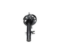 Amortiguador Eje delantero, izquierda Espiga arriba SSA-10646 KAVO PARTS