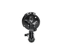 Amortiguador Eje delantero, izquierda Espiga arriba SSA-9003 KAVO PARTS