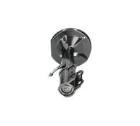 Amortiguador Eje delantero, izquierda Espiga arriba SSA-9031 KAVO PARTS