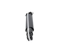 Amortiguador Eje trasero Anillo superior SSA-10766 KAVO PARTS para RENAULT